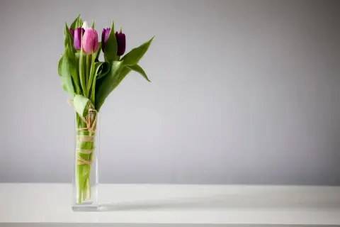 Bukiet różowych i fioletowych tulipanów w szklanym wazonie. Idealny na mądre życzenia imieninowe.