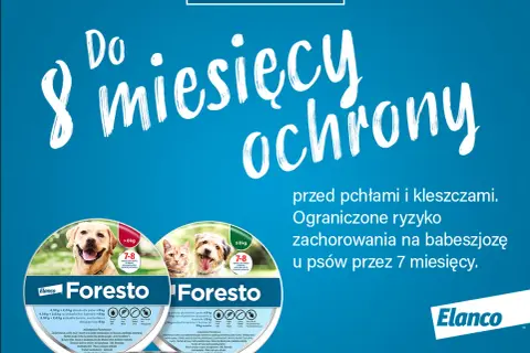 Jak działa obroża na pchły? Poznaj skuteczność i działanie!