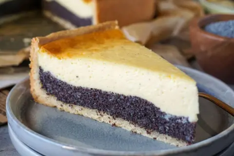 Ein Stück schneller Quark Mohn Kuchen ohne Boden auf einem Teller. Die Mohnschicht ist dunkel und die Quarkschicht hellgelb.