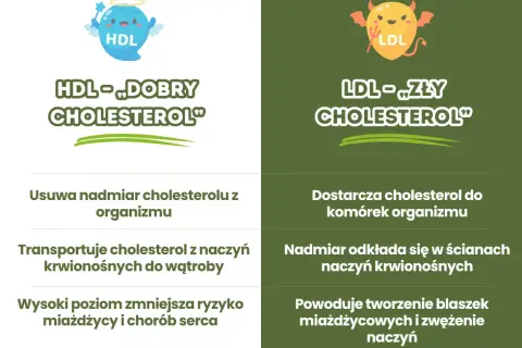Jak obliczyć cholesterol LDL i uniknąć problemów zdrowotnych