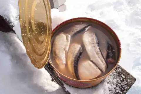 Otwarta puszka z kiszonymi śledziami w zalewie, stojąca na śniegu.