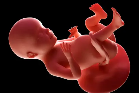 Płód w 28 tygodniu ciąży, który to miesiąc to już początek 7. miesiąca. Dziecko rośnie i rozwija się w łonie matki.