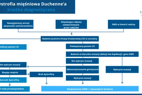 Schemat diagnostyczny dystrofii mięśniowej Duchenne'a. Analiza objawów, poziomu CK, biopsji mięśnia i badań genetycznych prowadzi do rozpoznania DMD.