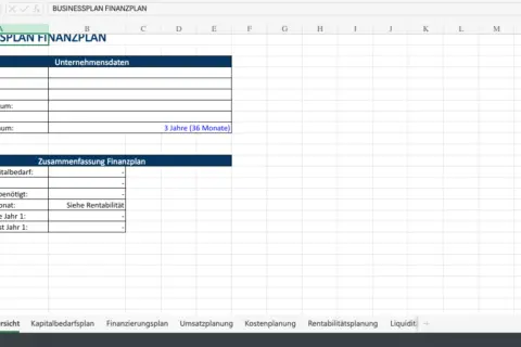 Excel-Tabelle zur Erstellung eines Finanzplans mit Feldern für Unternehmensdaten und Zusammenfassung.