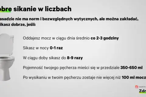 Dobre sikanie w liczbach: oddajesz mocz co 2-3 godziny w dzień, 0-1 raz w nocy, łącznie 8-9 razy na dobę. Pojemność pęcherza 350-650 ml.