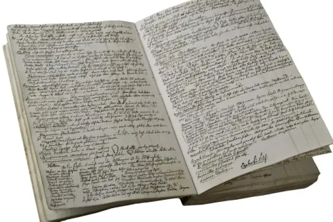Altes Schriftdokument mit handgeschriebenen Notizen und botanischen Zeichnungen.