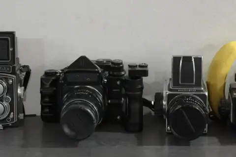 A lineup of vintage cameras, including a Mamiya C2, Rolleiflex, Hasselblad, Mamiya 645, and Holga, with bananas for scale.