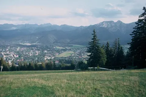 Widok na Tatry z górskiej łąki, z miastem w dolinie i lasem po prawej.
