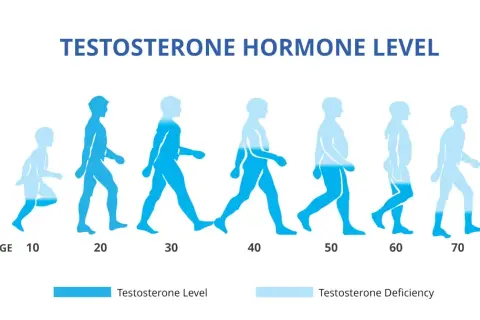 Zaburzenia hormonalne u mężczyzn objawy – nie ignoruj tych sygnałów