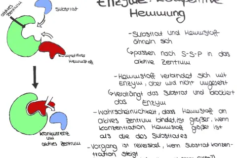 Schema zeigt kompetitive Hemmung: Hemmstoff (rot) und Substrat (blau) konkurrieren um das aktive Zentrum (grün) des Enzyms.