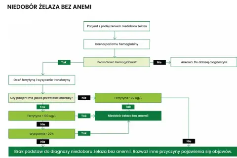 Ferrytyna: Co to za badanie? Normy, objawy i interpretacja wyników