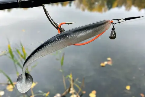Zander-Montage: Ein Gummifisch mit Haken und Bleikopf hängt an einer Angelschnur über ruhigem Wasser.