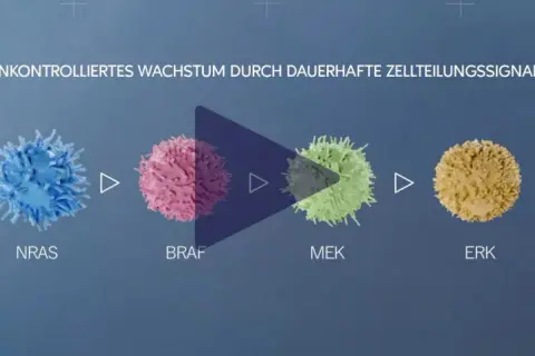 Zellteilungssignale treiben unkontrolliertes Wachstum bei Hautkrebs an. Immuntherapie kann hier ansetzen.