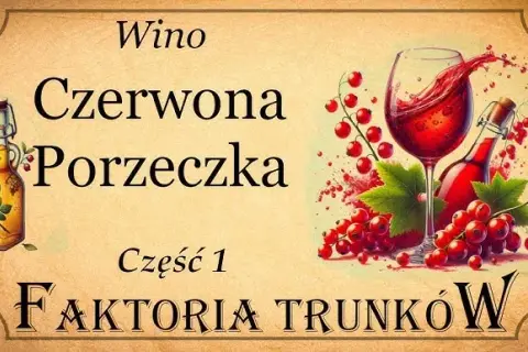 Jak zrobić wino z czerwonej porzeczki – prosta receptura krok po kroku