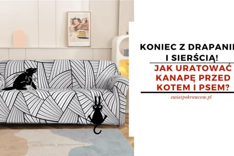 Jak zabezpieczyć kanapę przed psem i uniknąć zniszczeń