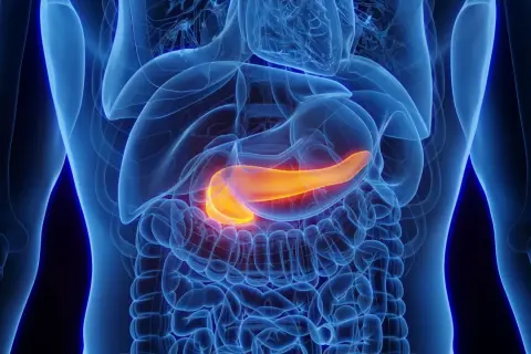 Jaki lekarz od trzustki? Gastroenterolog objawy i diagnoza