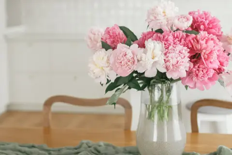 Kiedy jest sezon na peonie? Sprawdź, kiedy najlepiej je kupić
