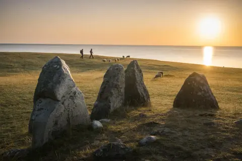 Stora stenar på en äng vid havet under en gyllene solnedgång i Skåne. Får betar och två personer promenerar i fjärran.