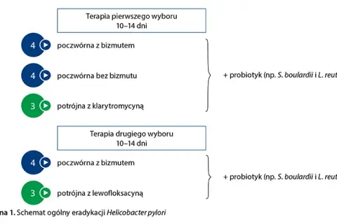 Leki na Helicobacter pylori: skuteczne terapie i jak uniknąć powikłań