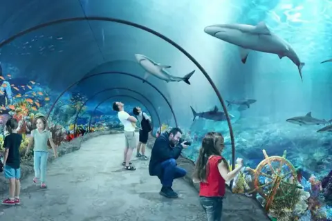 Podwodny tunel w łódzkim oceanarium, gdzie rekiny pływają nad głowami zwiedzających. Dzieci z zachwytem obserwują morskie życie.