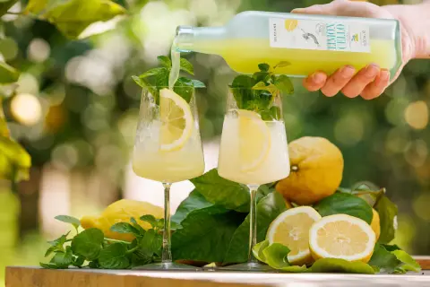 Limoncello wird in Gläser mit Zitrone und Minze gegossen.