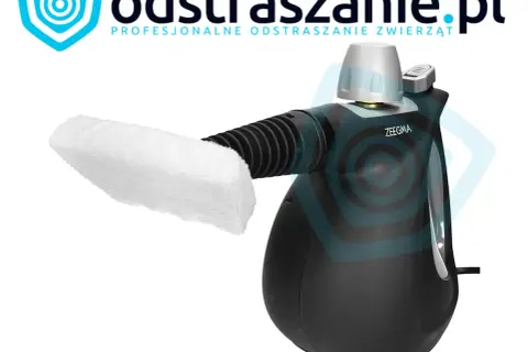Parownica na pluskwy: Jak wybrać i skutecznie pozbyć się insektów?