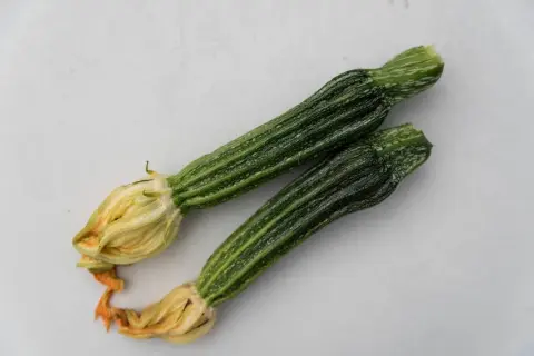 Två små ansa zucchini med blommor, redo att tillagas.