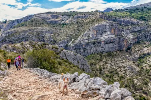 Un grupo de senderistas y un perro disfrutan de una ruta de senderismo en Alicante, con un camino pedregoso y montañas escarpadas.