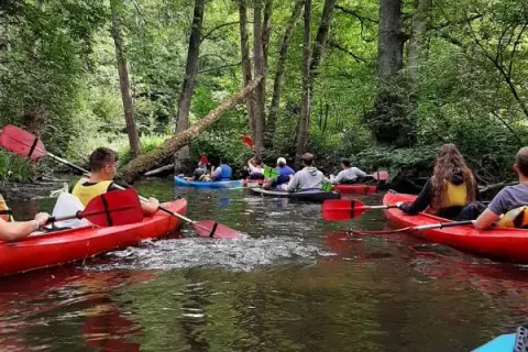Spływy kajakowe Pliszką: dzika przygoda i praktyczny przewodnik