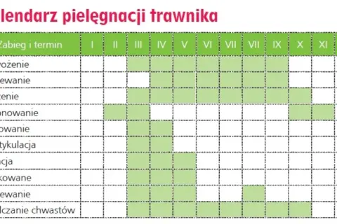 Kalendarz pielęgnacji trawnika z zaznaczonymi terminami zabiegów.