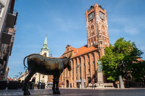 Pomnik osiołka na Rynku Staromiejskim w Toruniu, z widoczną wieżą ratuszową i kościołem.