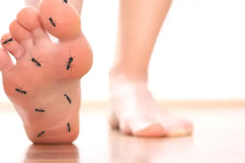 Mrówki na stopie symbolizują mrowienie i drętwienie, objawy neuropatii cukrzycowej.