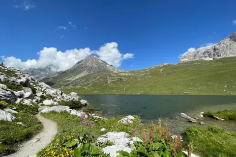 Sentier rocailleux bordant le lac de la Plagne, avec des montagnes verdoyantes et un ciel bleu éclatant.