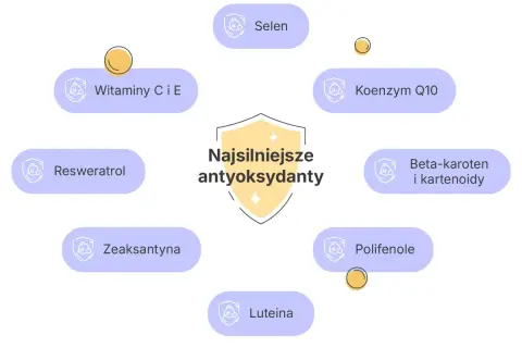 Wykres przedstawia najsilniejsze antyoksydanty w kosmetykach: witaminy C i E, selen, koenzym Q10, beta-karoten, resweratrol, luteinę, polifenole i zeaksantynę.
