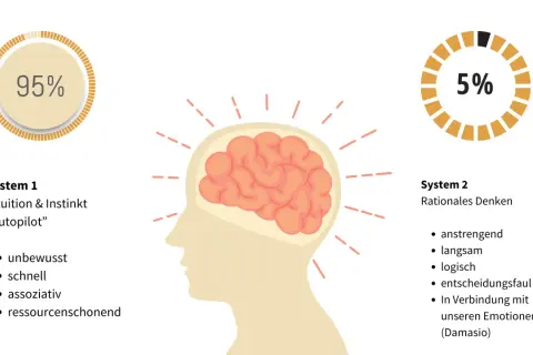 Gehirn mit zwei Systemen: 95% Intuition (System 1) und 5% rationales Denken (System 2). Oft ist die richtige Entscheidung intuitiv.