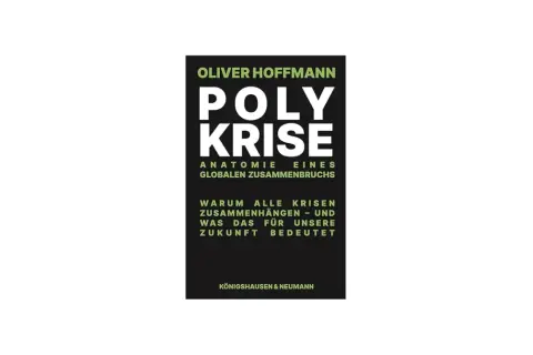 Buchcover: Oliver Hoffmanns "Polykrise" erklärt die Anatomie eines globalen Zusammenbruchs und warum alle Krisen zusammenhängen.