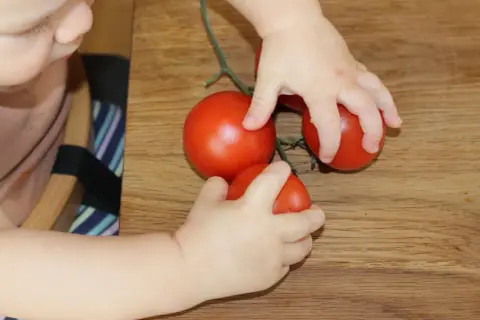 Kleinkind erkundet Tomaten am Stiel. Ab wann darf ein Baby Tomate essen? Hier sind die ersten Erfahrungen.