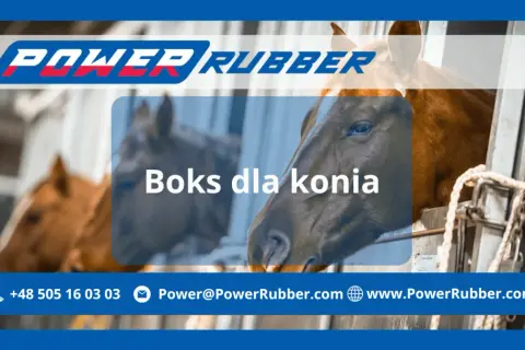 Jak zrobić boks dla konia - kluczowe wskazówki dla bezpieczeństwa i komfortu