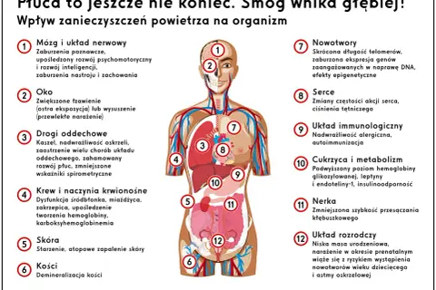 Czy smog powoduje rozwój astmy u dzieci? Oto niepokojące fakty