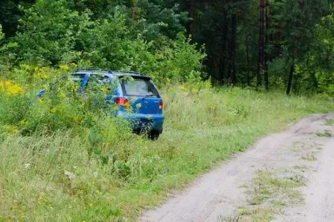 Jak odnaleźć auto w lesie? Sprawdzone sposoby i procedury