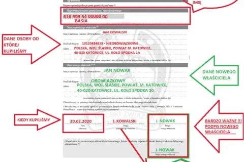 Jak przepisać konia na siebie? Uniknij błędów i zbierz dokumenty