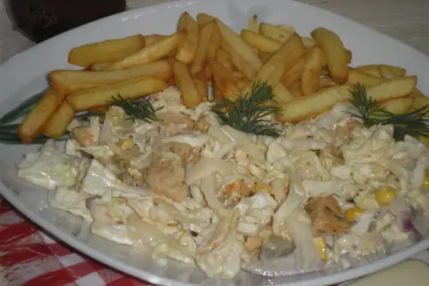 Kebab na talerzu z frytkami i surówką.