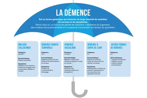 Schéma comparant différents types de démence, dont la démence vasculaire. L'espérance de vie varie selon la forme.