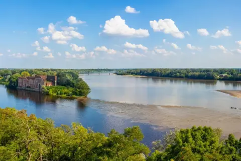 Widok na Wisłę z ruinami fabryki, mostem i zielonymi brzegami. Prawdziwe cuda natury w Polsce.