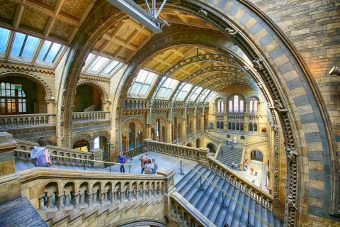 Imponerande interiör i naturhistoriska museet London med storslagna trappor och valv.