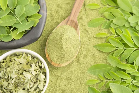 Moringa na odchudzanie jak stosować: skuteczne metody i dawkowanie