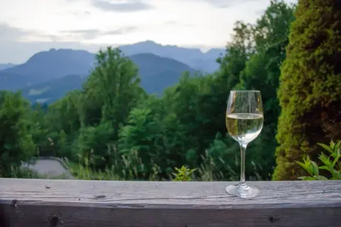 Wino dry co to znaczy? Poznaj smak i różnice w winach
