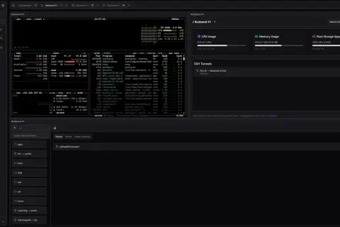 Zarządzanie serwerem Racknerd #1 przez **dostęp SSH**. Widok menedżera serwerów z informacjami o CPU, pamięci i dyskach.