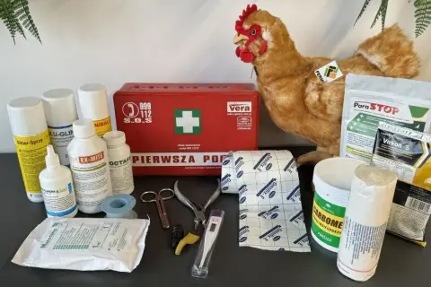 Czym odrobaczać kury, aby uniknąć pasożytów i poprawić zdrowie?
