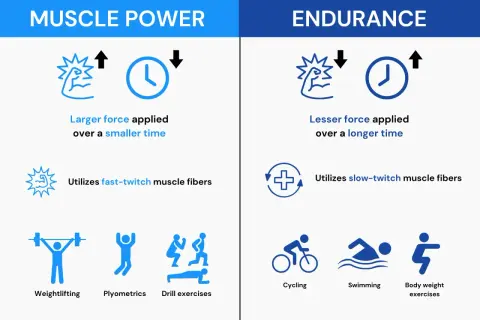 Endurance: lesser force applied over a longer time, utilizing slow-twitch muscle fibers. Examples: cycling, swimming, bodyweight exercises.